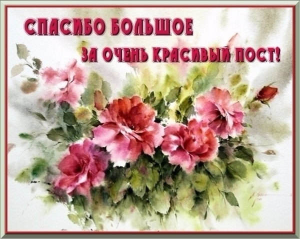 Thanking post. Спасибо за интересный пост. Благодарю за прекрасный пост. Спасибо за прекрасный пост. Замечательный пост спасибо.